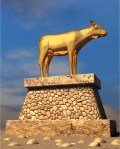 golden-calf